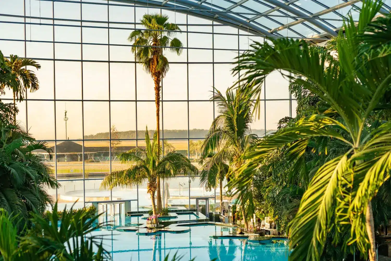 The Palm zone at Therme Bucharest
