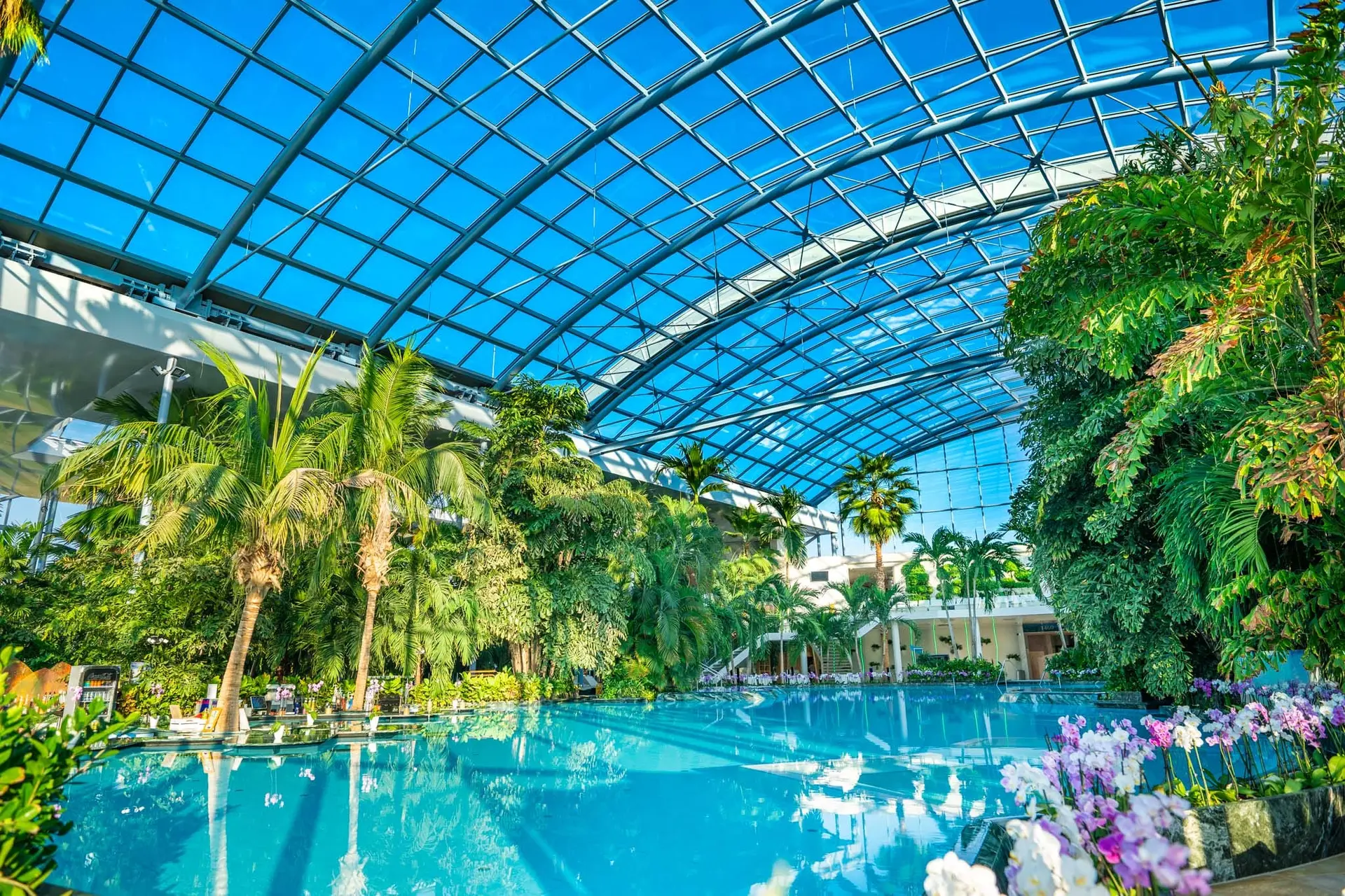 Therme Bucharest gallery view